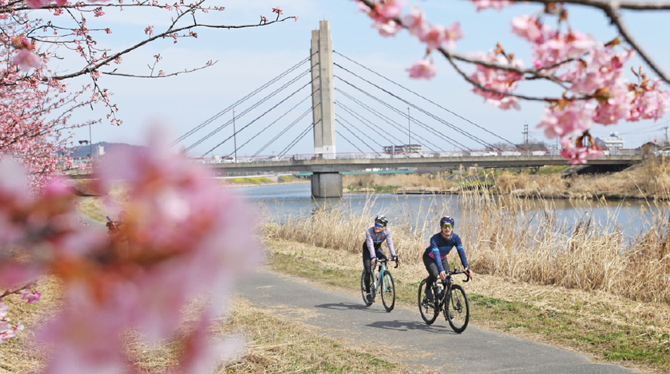 北九州（門司）・京築ルート ④今川サイクリングロード写真