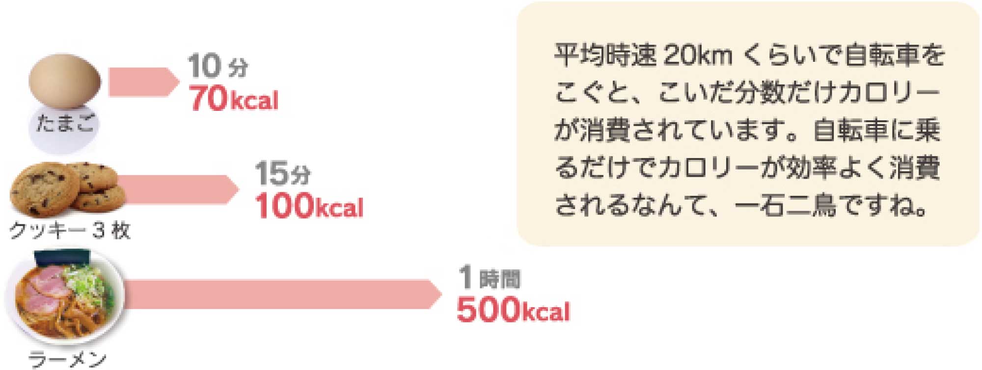 自転車で消費されるカロリーの目安表